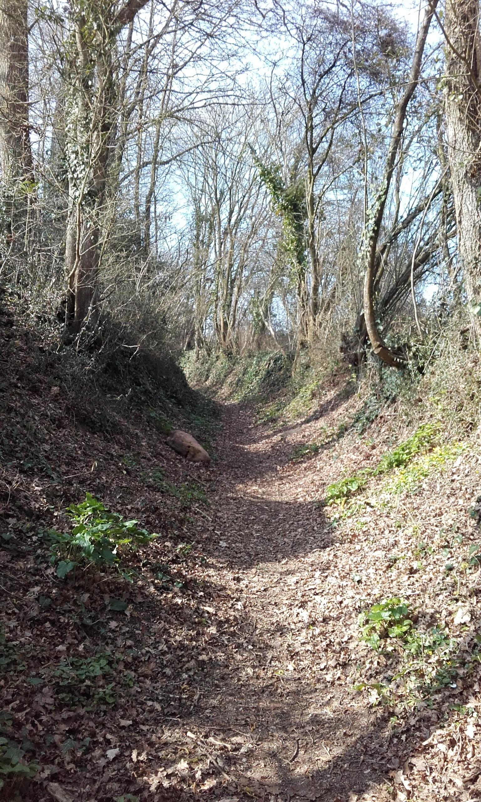 chemin creux