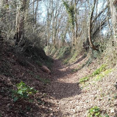 chemin creux