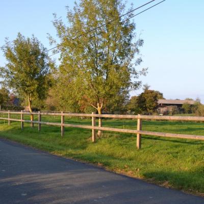 Les prés depuis la route