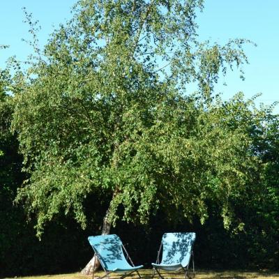 le jardin